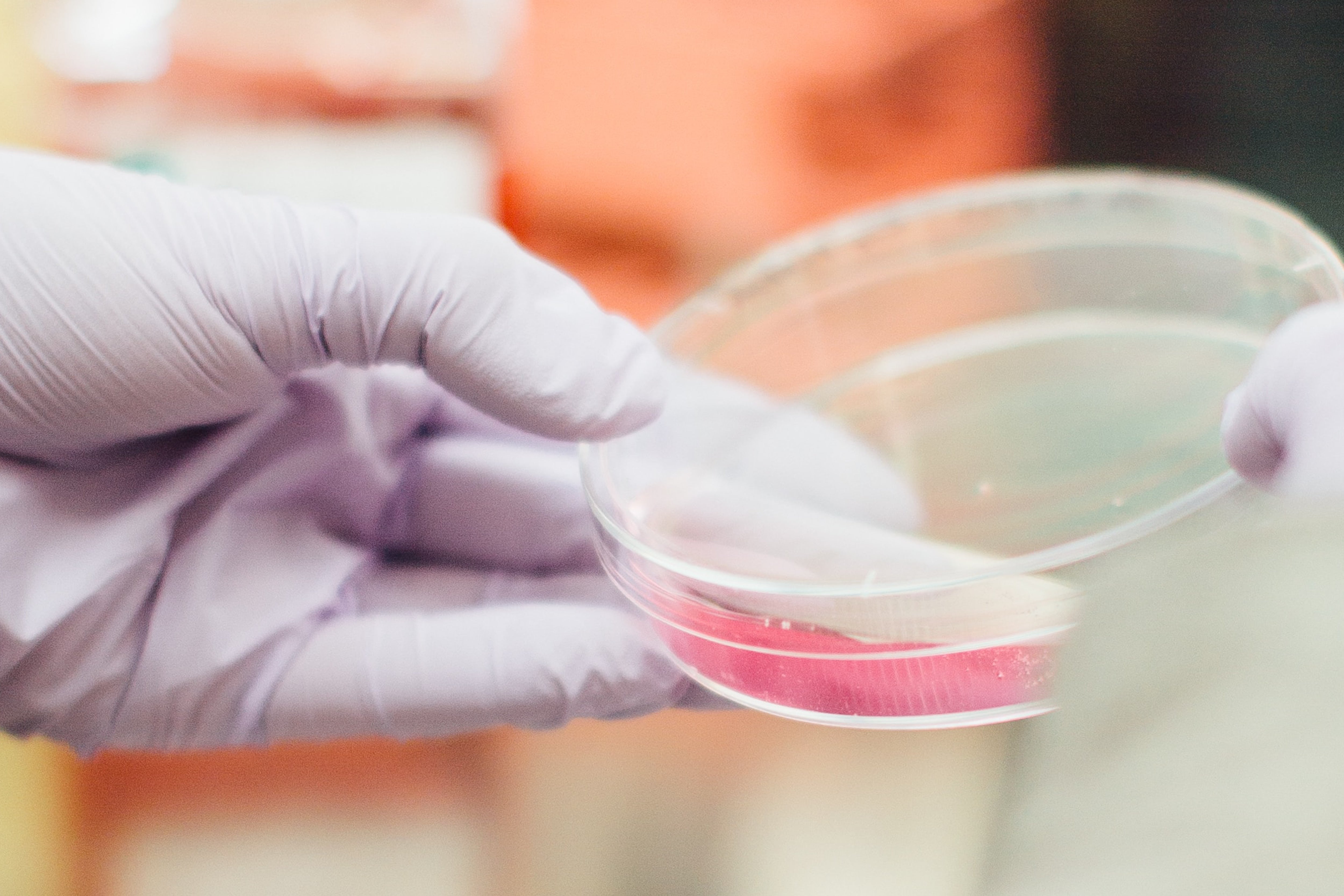 ASPRIVA Labortests aller Produkte und Chargen