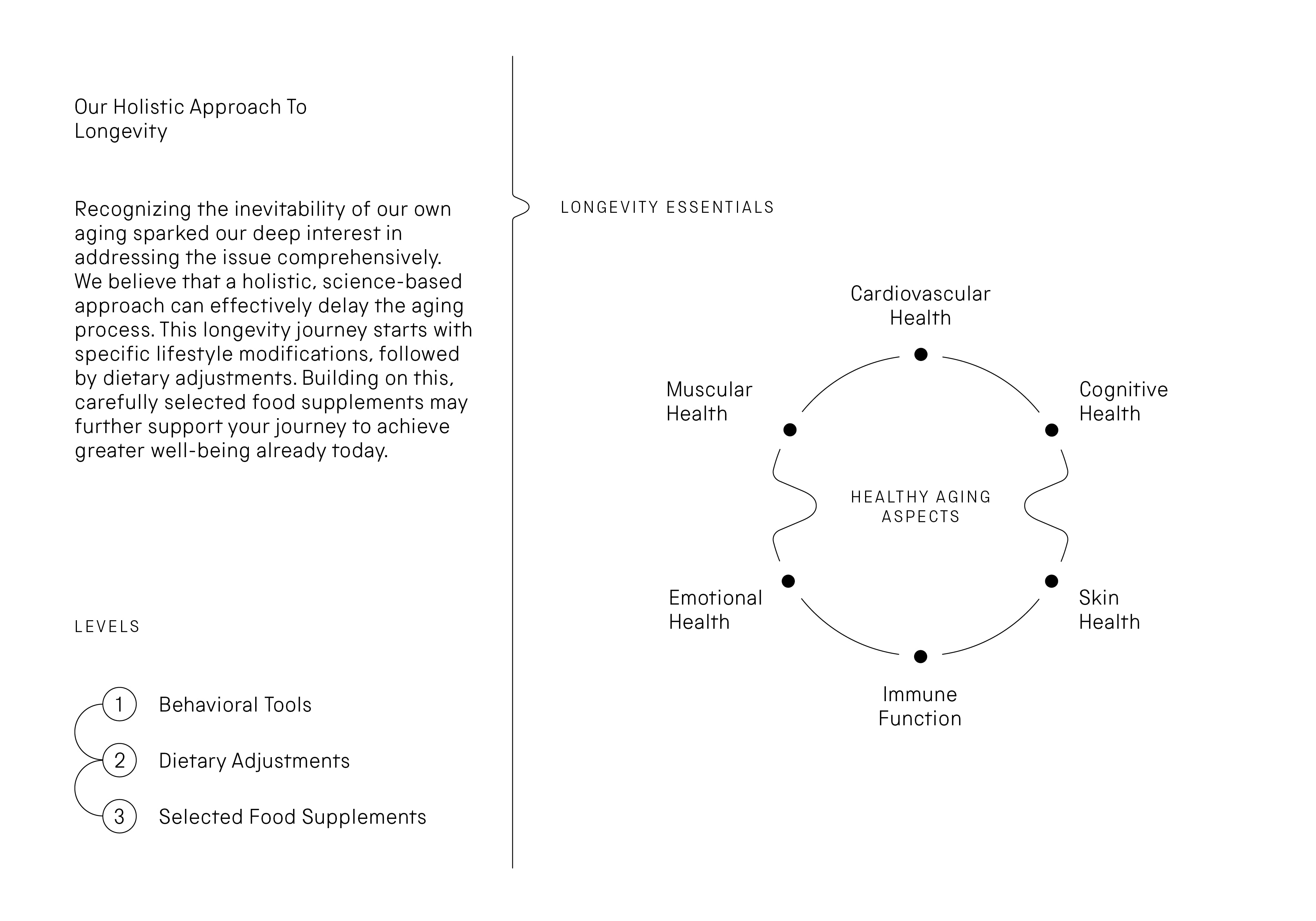 Our Holistic Approach To Longevity